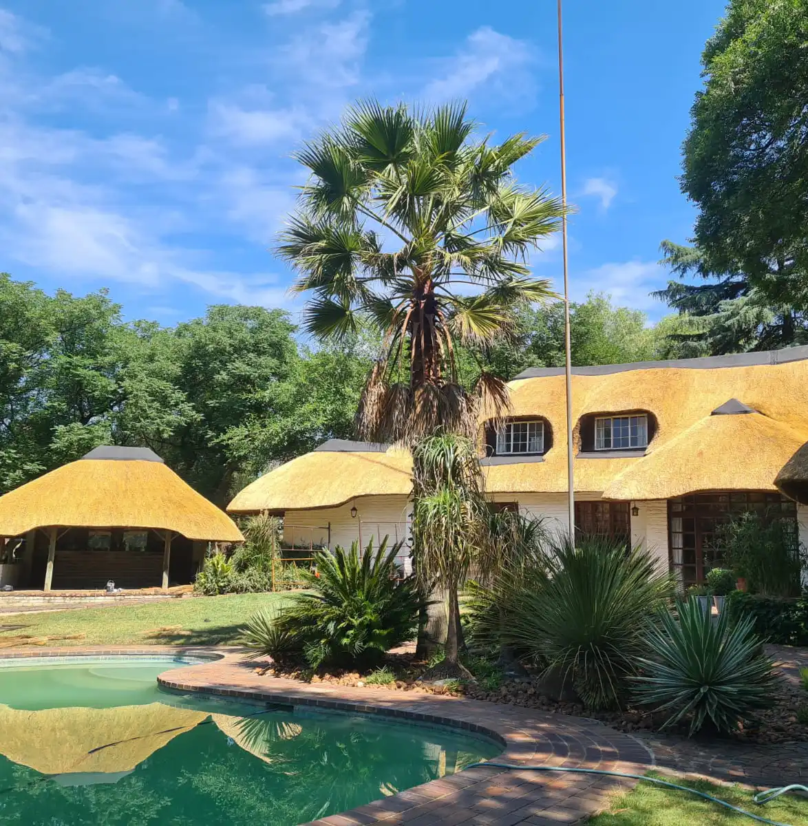 thatchpros thatching specialists thatchpros.co.za - builders of professional thatch roofs and lapas